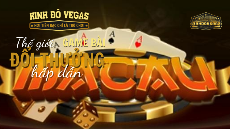 Các lưu ý sau khi đăng nhập tại Macau club