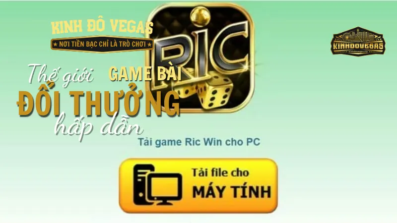 Giới thiệu về ứng dụng Ricwin